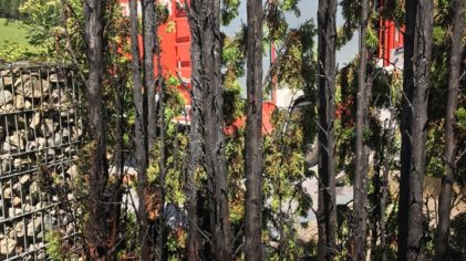 Brand im Freien Brand im Freien