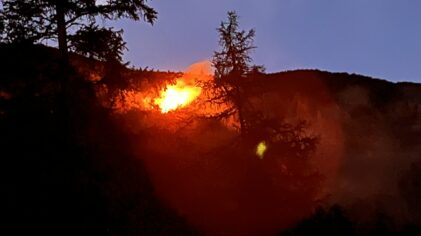 Brand Wald