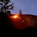 Brand Wald